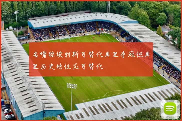 名嘴称埃利斯可替代库里夺冠但库里历史地位无可替代