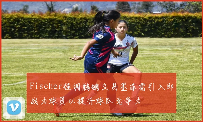 Fischer强调鹈鹕交易墨菲需引入即战力球员以提升球队竞争力